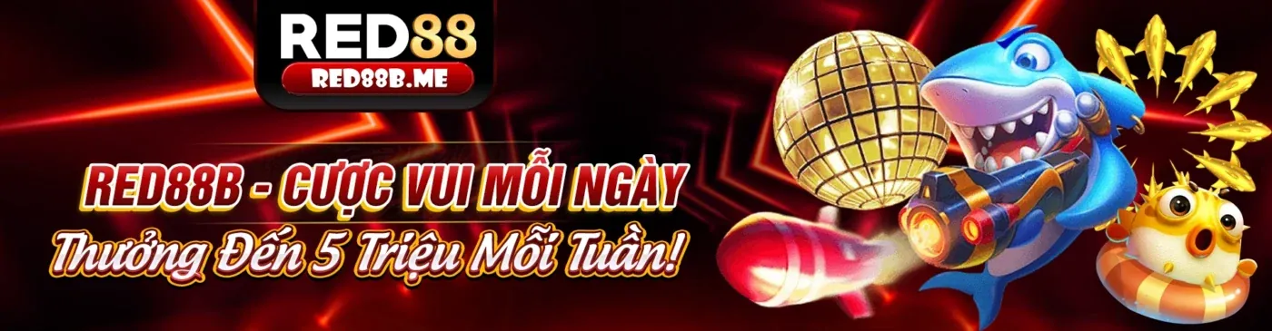 Hình ảnh chính KU Casino Kubet